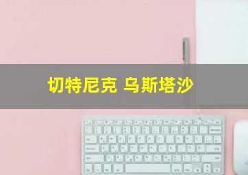 切特尼克 乌斯塔沙